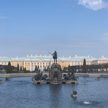 Большой Дворец в Петергофе - особенности посещения